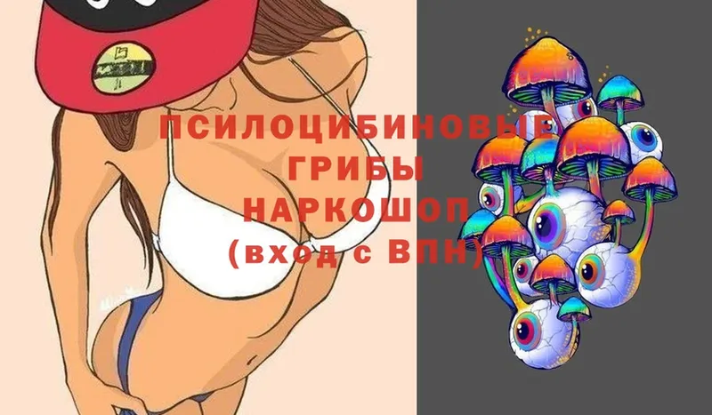 Псилоцибиновые грибы Psilocybine cubensis  Электрогорск 